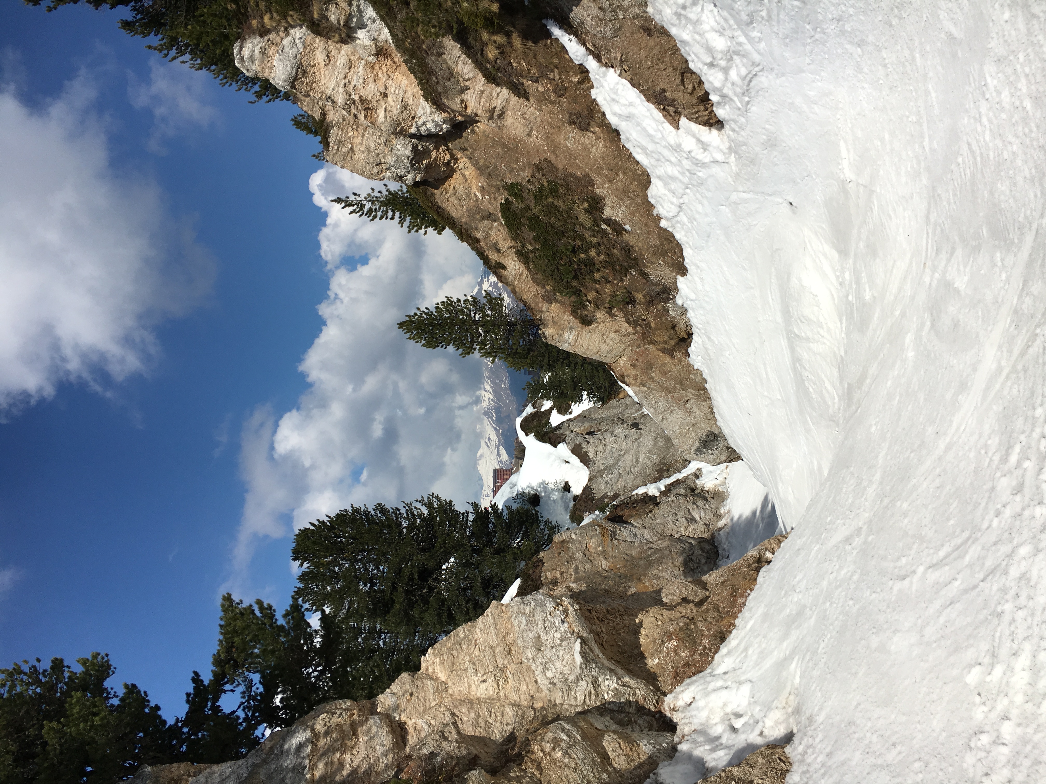 A stone path winding upward through alpine meadow at dawn